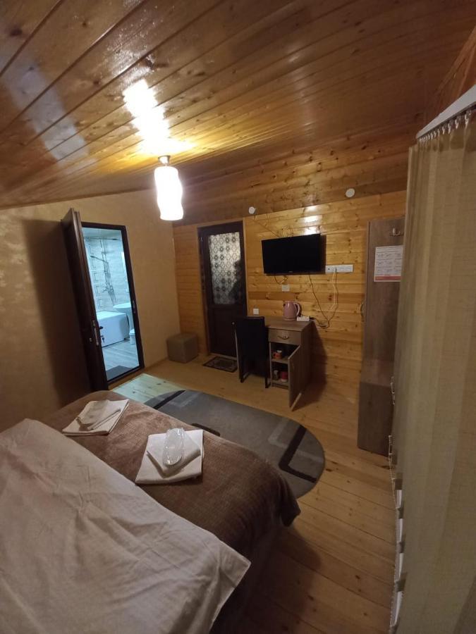 Four Season In Kazbegi Hotel Kültér fotó